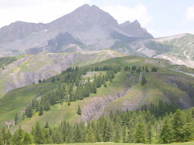 DSCN1336