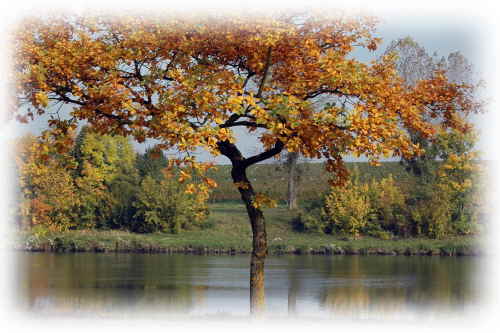 Herbst 02 A