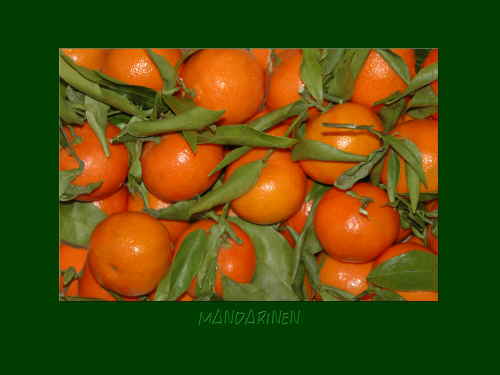 Mandarinen 1 Leinwand