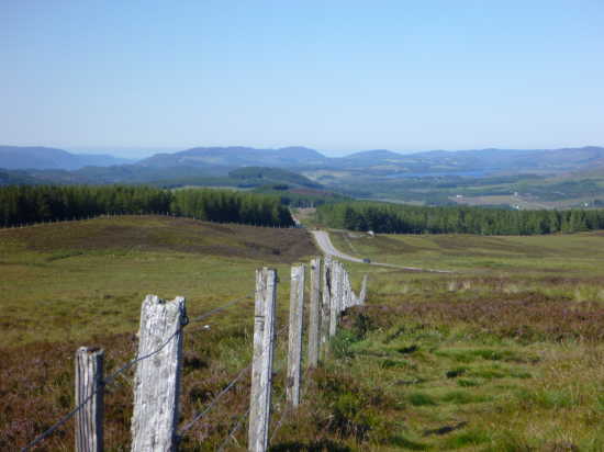 P1010394
