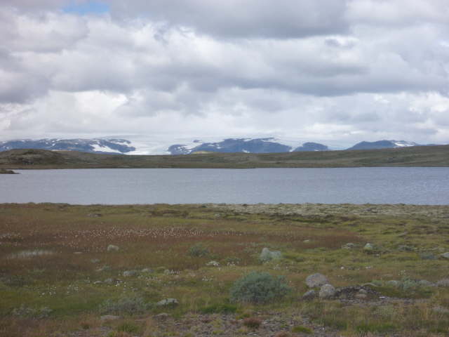 P1040592
