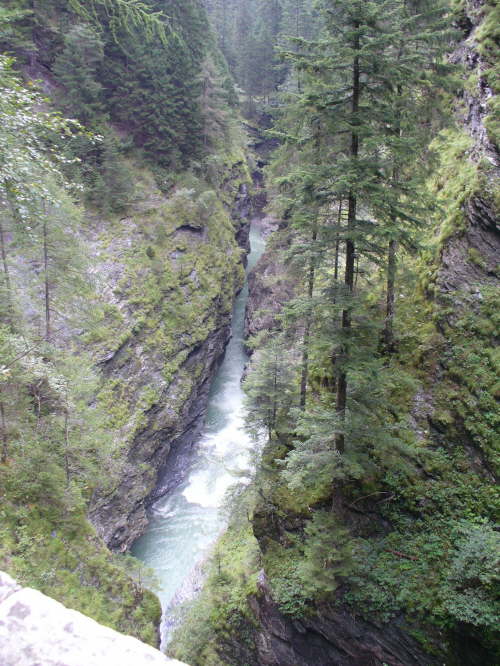 P1050026